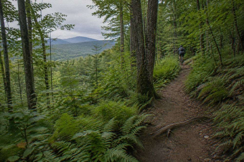 A dirt singletrack trail curving through a green northern forest