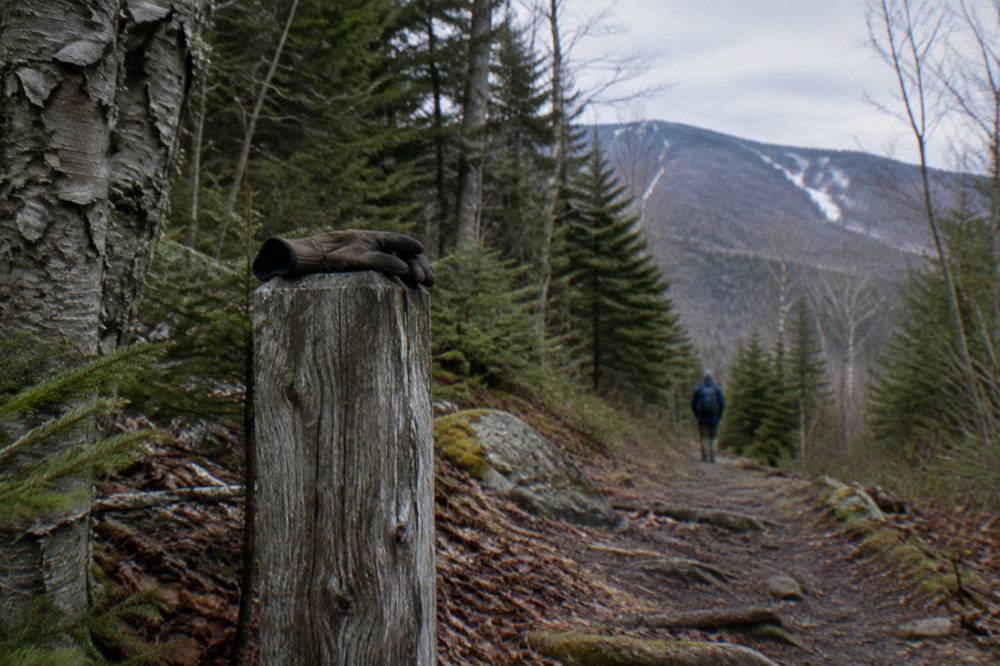 A mountain bike leaning against a wooden post beside a forest trail