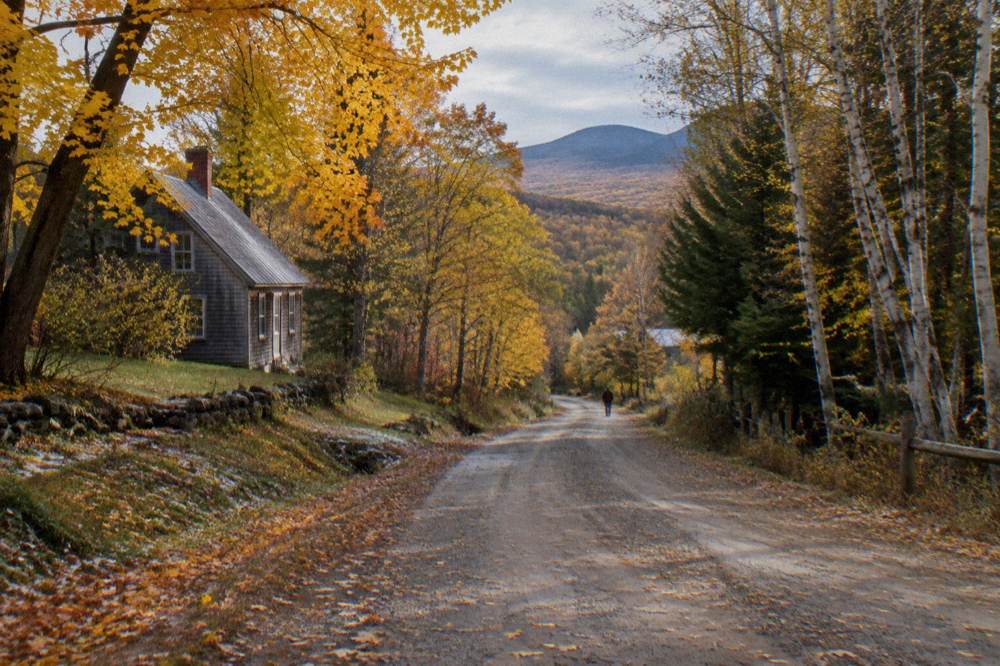Golden autumn leaves over a rolling dirt road in the Northeast Kingdom