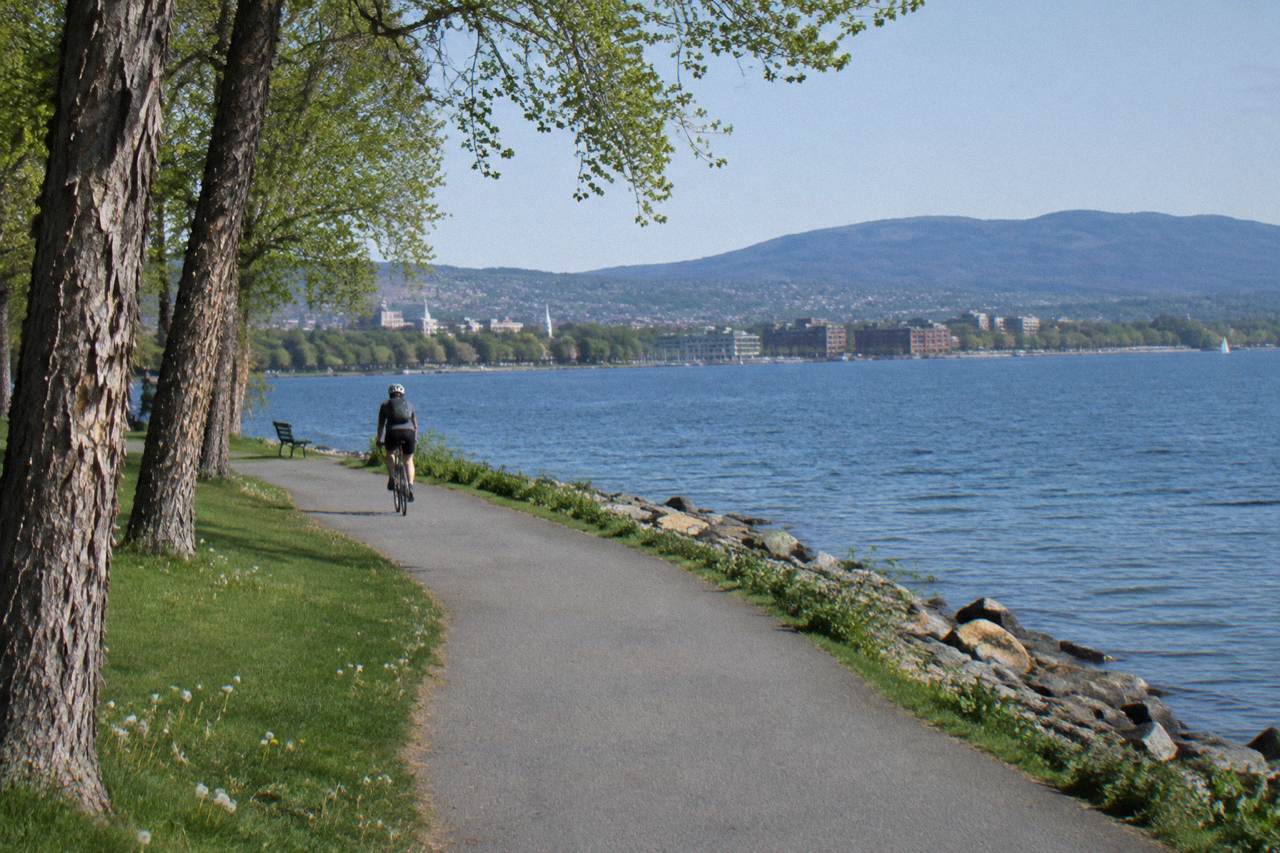 Cyclist on a paved lakeside path past grass and shagbark trees toward the blue lake in Burlington, dandelions seeding