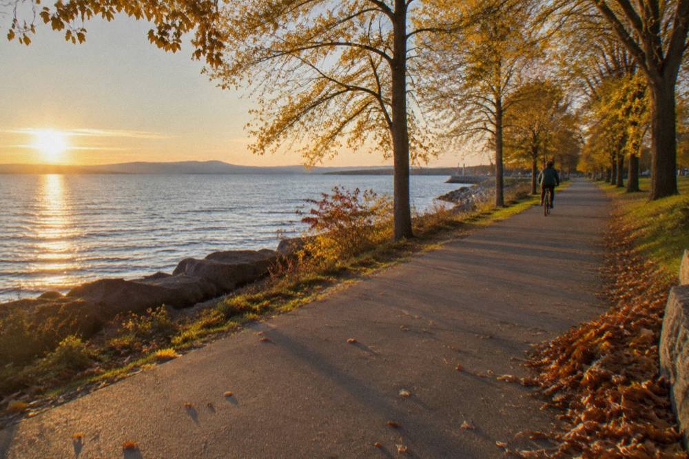 A cyclist riding a paved path through late-season golden trees beside a lake