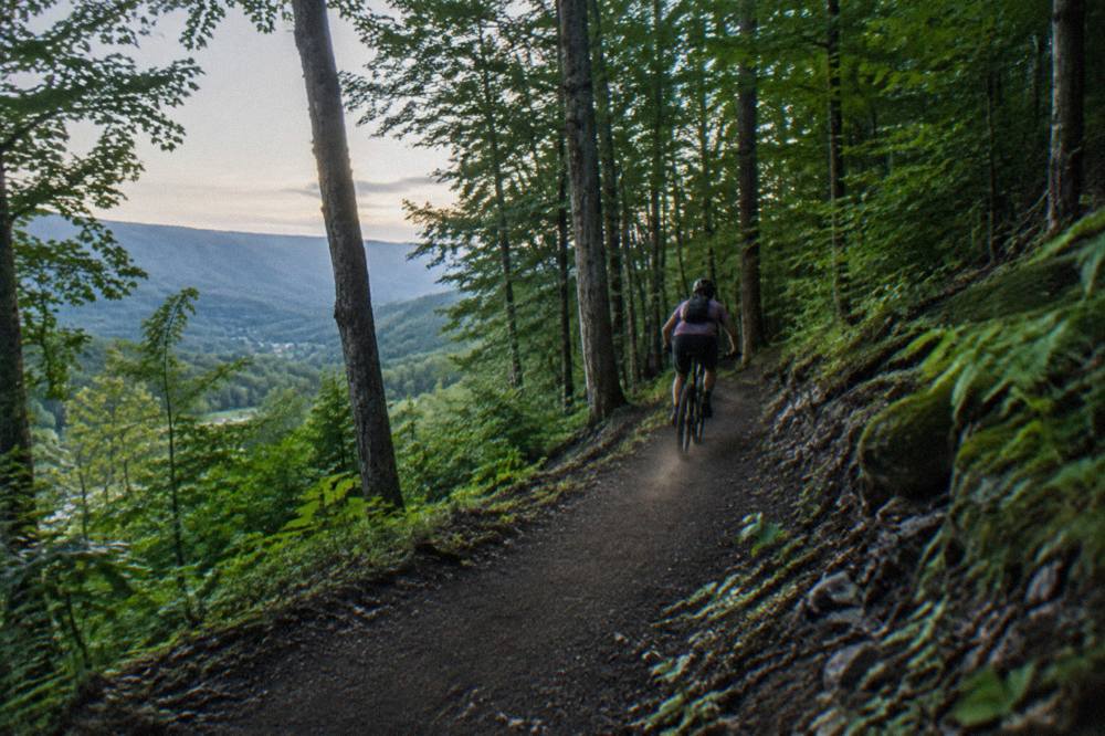 Smooth singletrack curving through a green Vermont forest