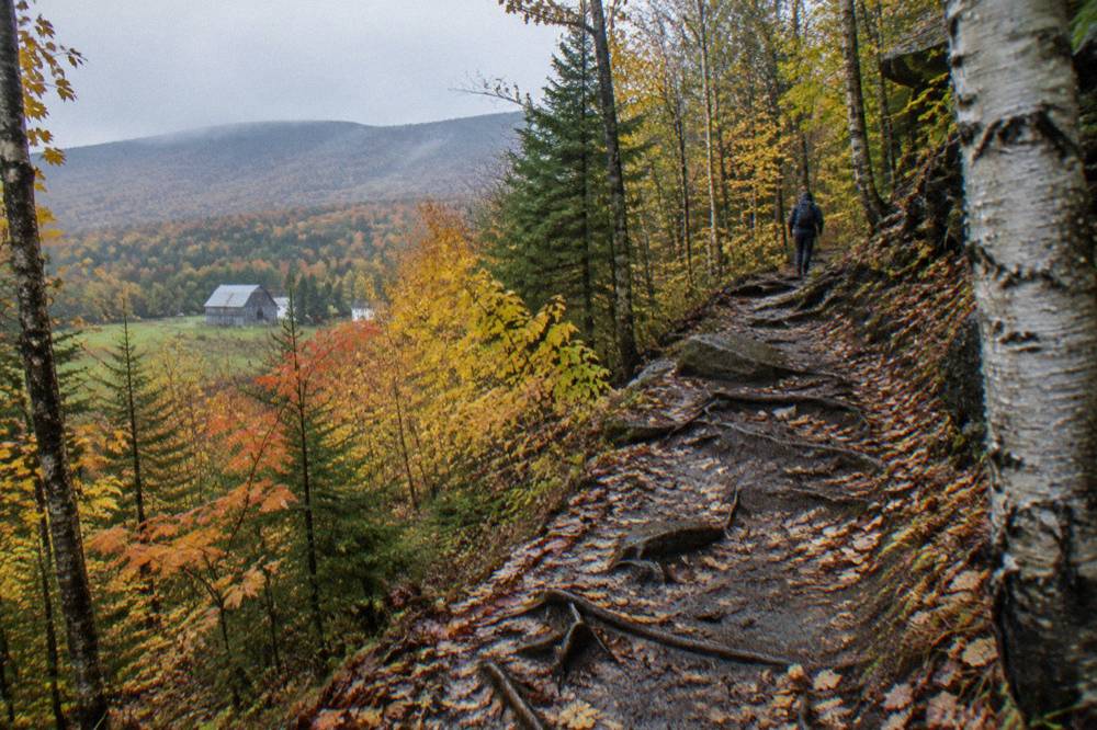 A mountain bike trail passing through bright autumn foliage in Vermont