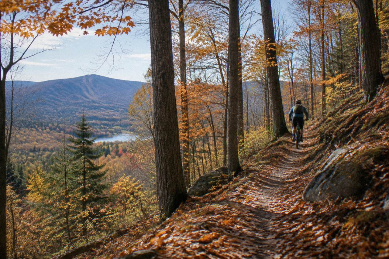 Cyclist on packed-dirt singletrack between sugar maples in East Burke, orange leaves carpeting the trail