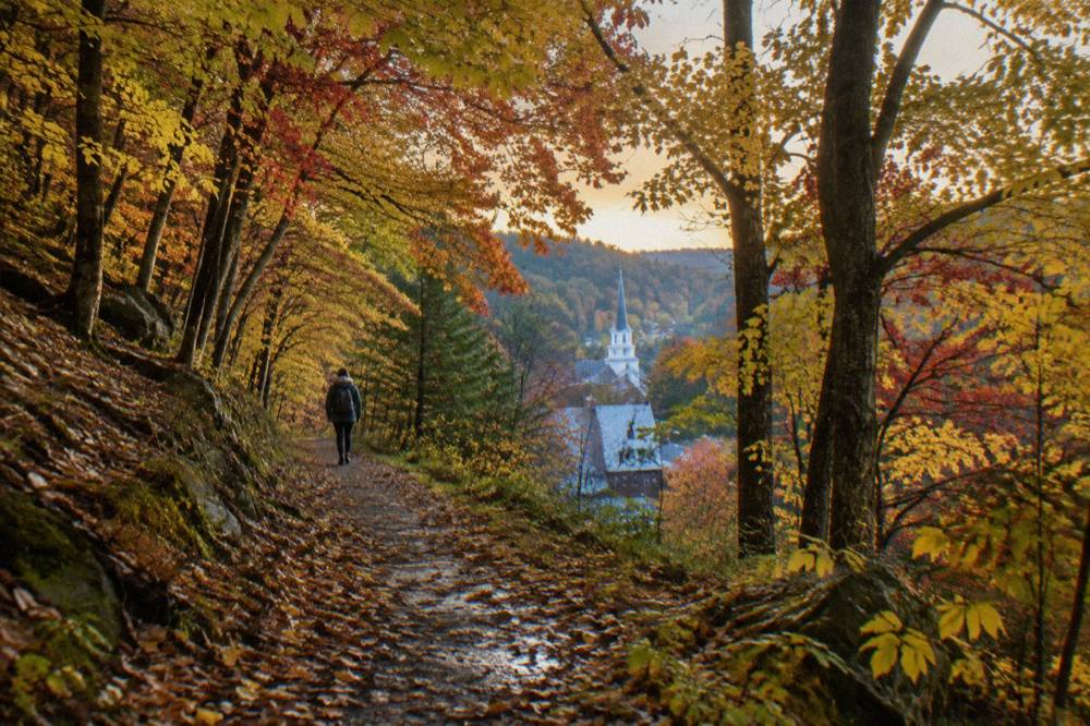 A paved bike path winding through dense autumn forest with yellow and red foliage