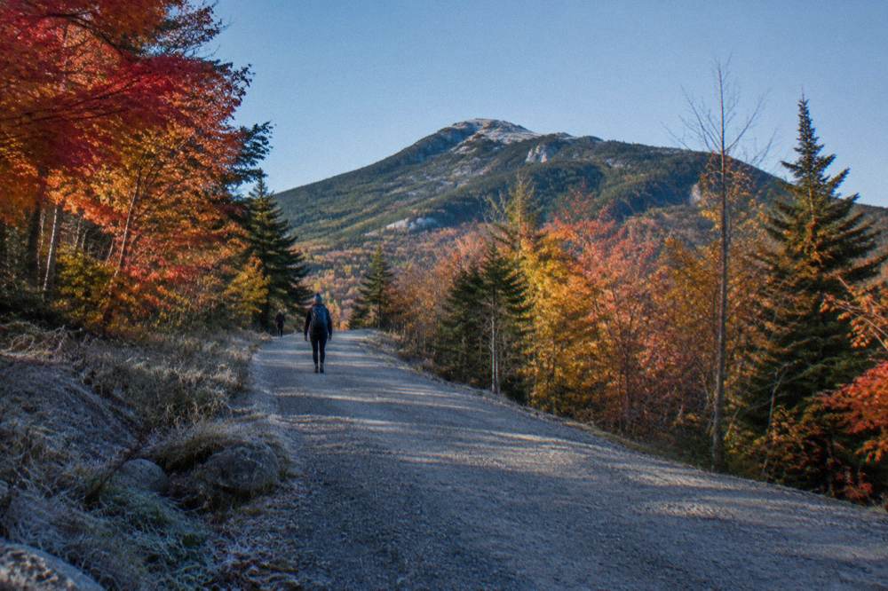 A gravel road climbing through red and orange maples toward a distant ridgeline