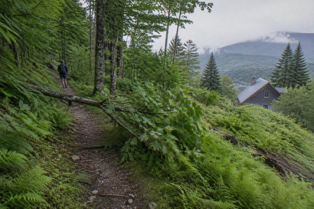 A dirt singletrack trail winding through dense green forest