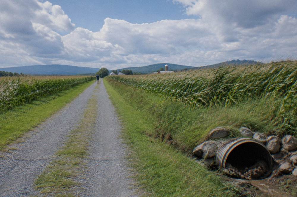 Open farmland on both sides of a grass edged rail trail under a wide sky