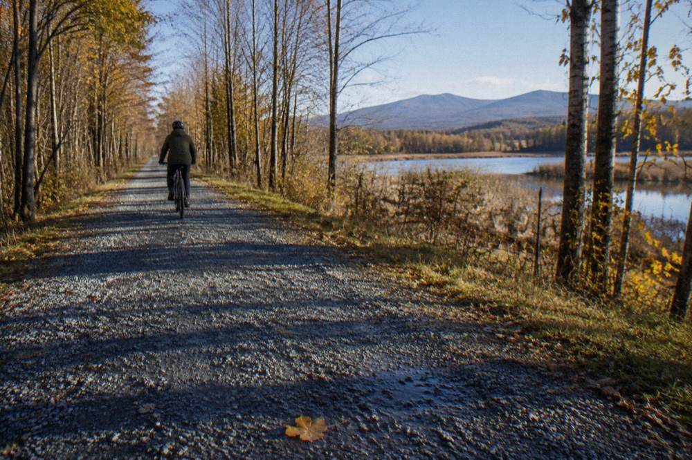 A cyclist on a crushed stone rail trail passing through autumn woods