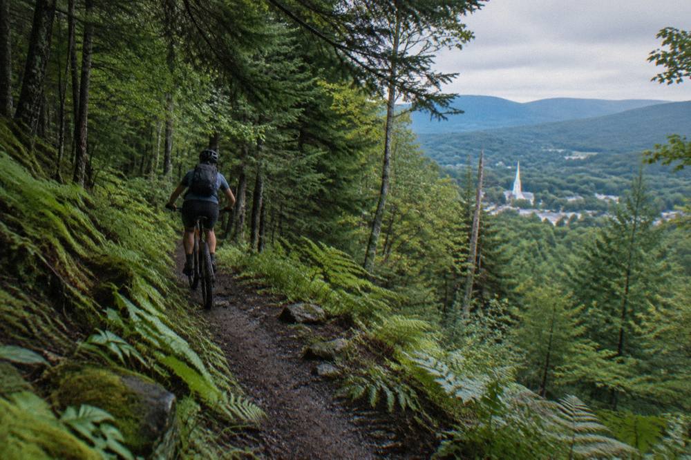 A singletrack trail winding through a green northern forest