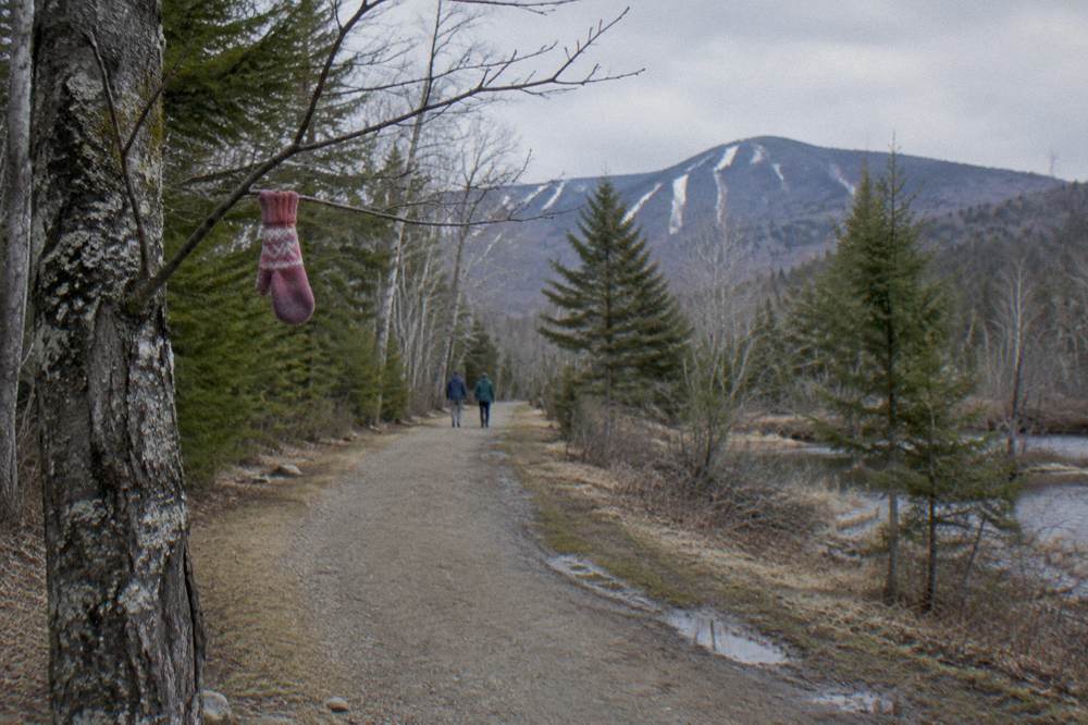 A wide forested multi-use trail with packed dirt surface