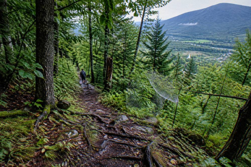 A narrow dirt singletrack trail descending through dense green forest