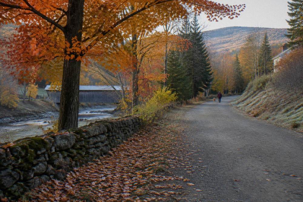 A quiet Vermont dirt road curving through orange maple trees with no cars