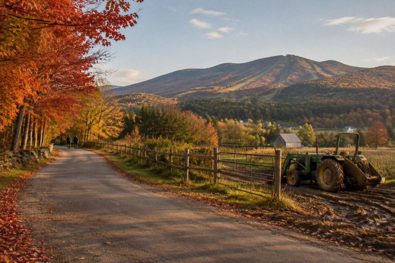 A country road lined with orange and red maple trees curving toward Vermont hills