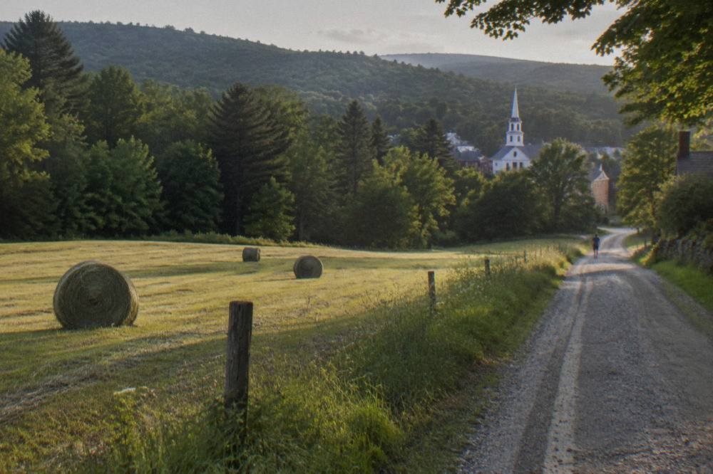 Country road with tree line at the edge of a farm field in early summer