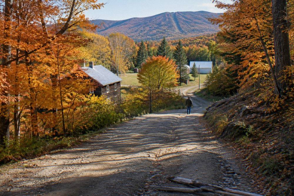 A dirt road climbing through dense autumn forest toward a hillside clearing