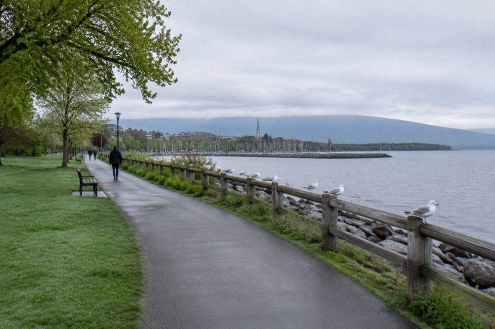 Paved multi-use path passing through a green waterfront park with a wooden railing along the shore