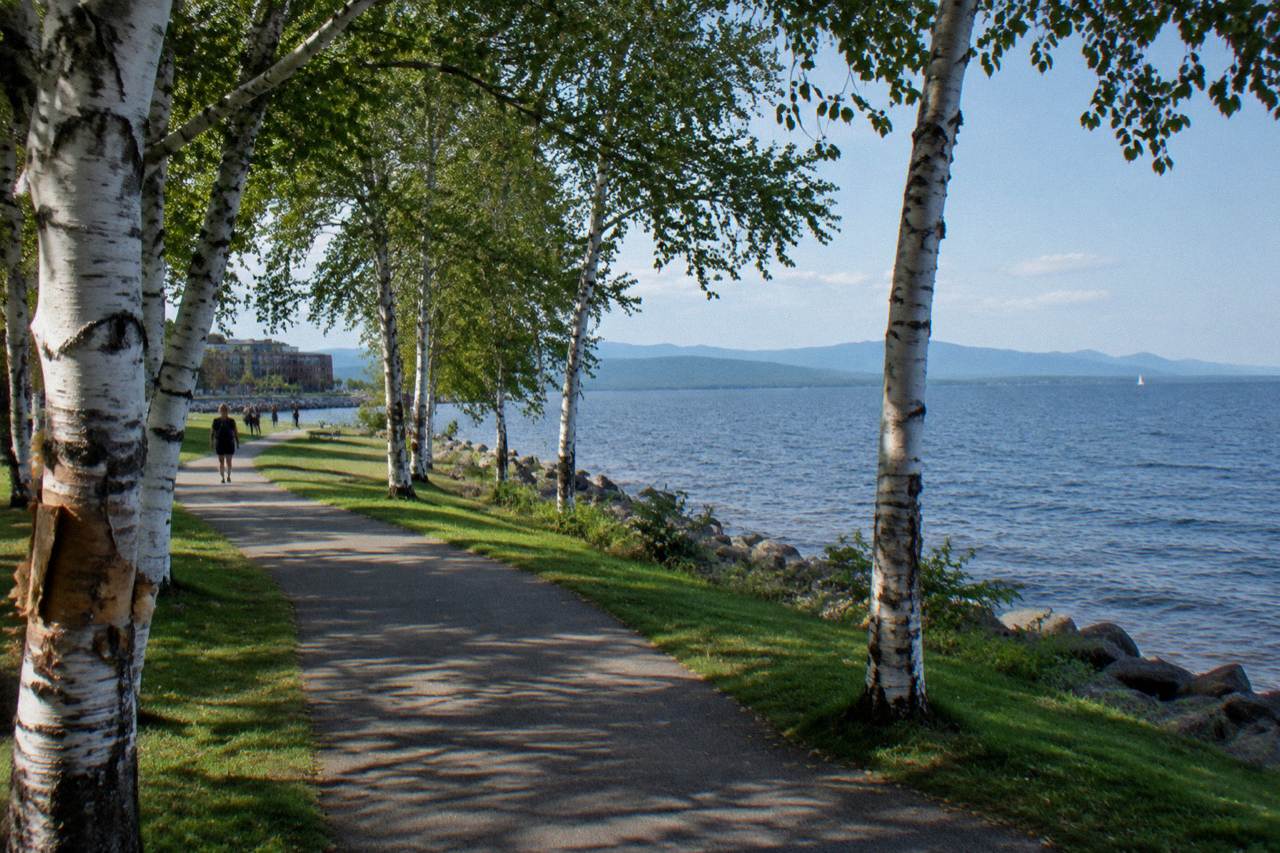 Paved lakefront bike path curving past trees toward a wide blue lake with distant mountains