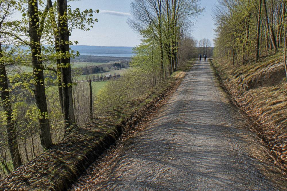 A gravel road climbing between maple trees toward a Vermont ridgeline
