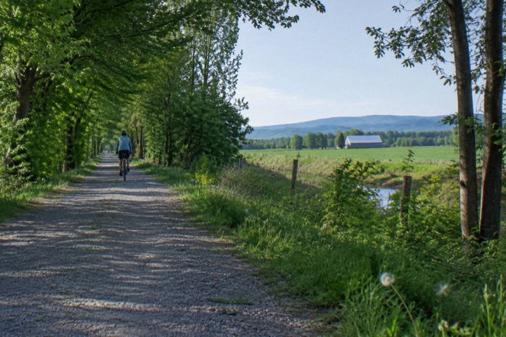 A cyclist rolling along a tree lined rail trail with farmland visible beyond the corridor.