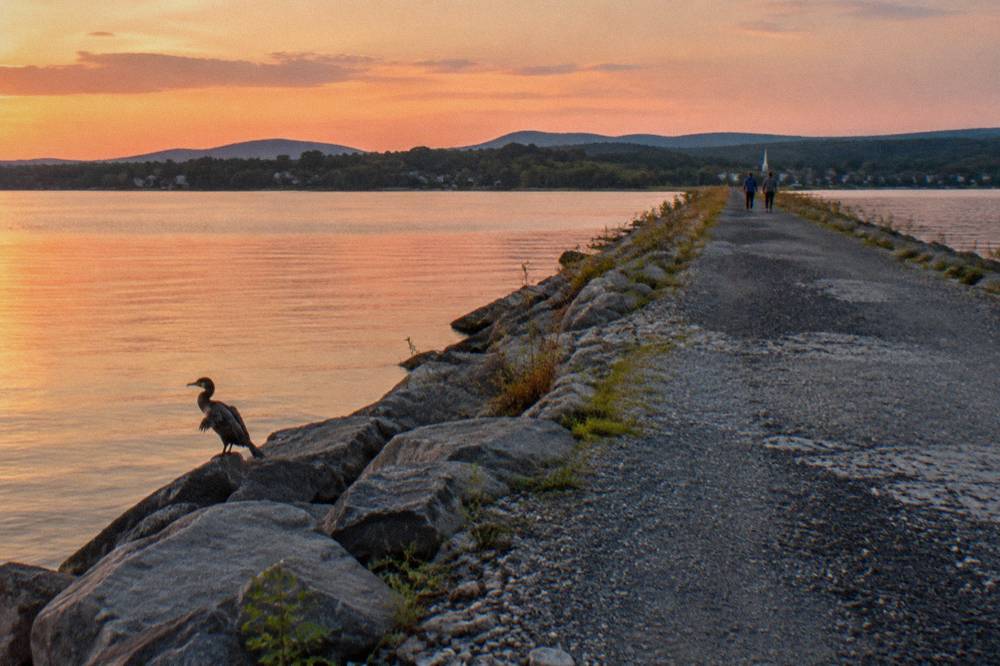 A gravel causeway path stretching across open water toward distant hills
