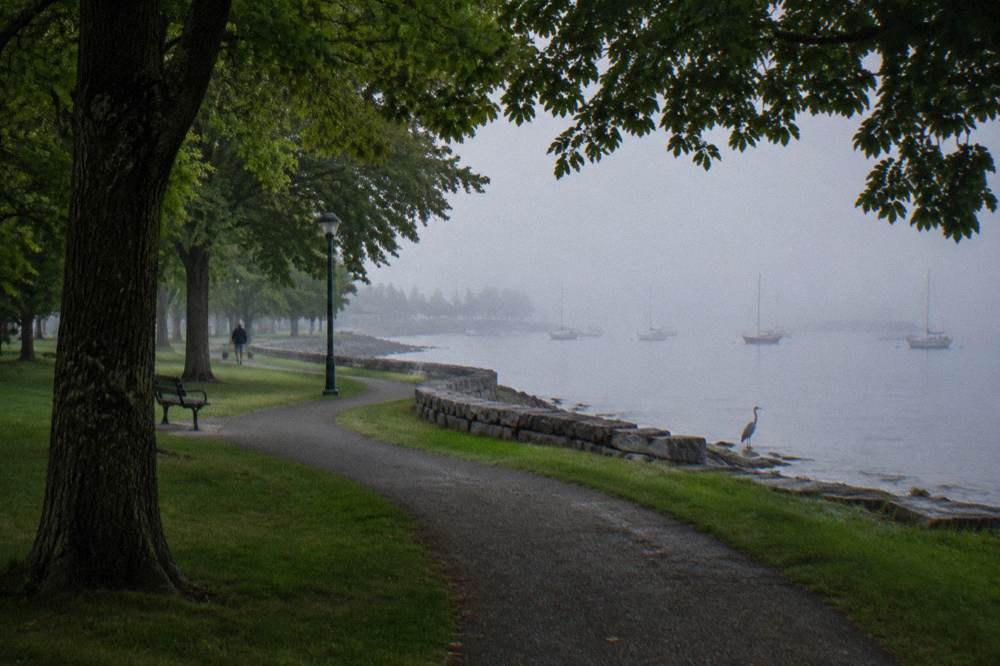 A waterfront park with a bike path curving past lawns and lake moorings