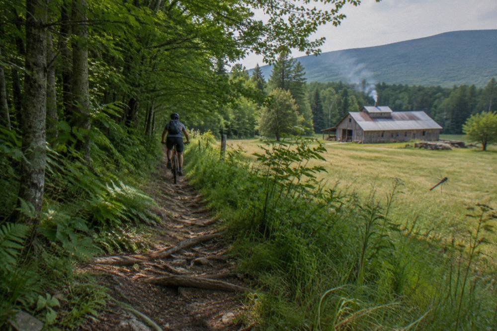Mountain bike singletrack curving through dense green woods