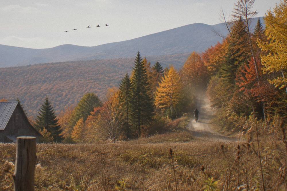 A rider pedaling an electric mountain bike up a forest climb