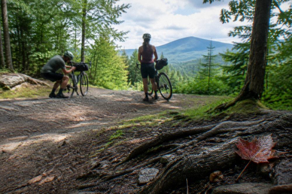 Two mountain bikers resting at a forest trail junction