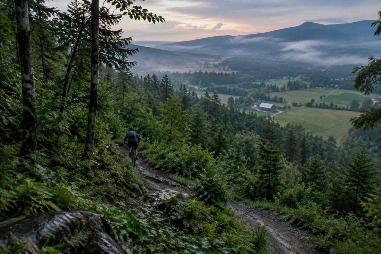 Singletrack winding through a green northern Vermont forest