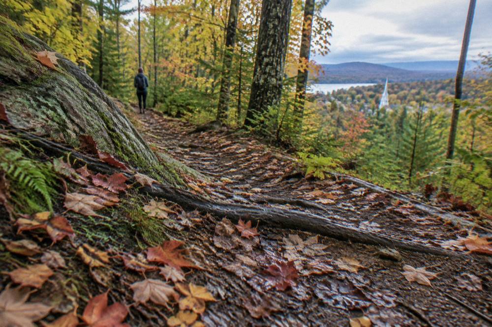 A narrow mountain bike trail covered in fallen orange and red leaves through Vermont woods