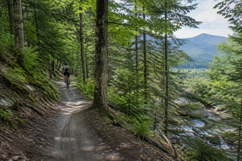 A narrow dirt singletrack trail curving through dense green forest