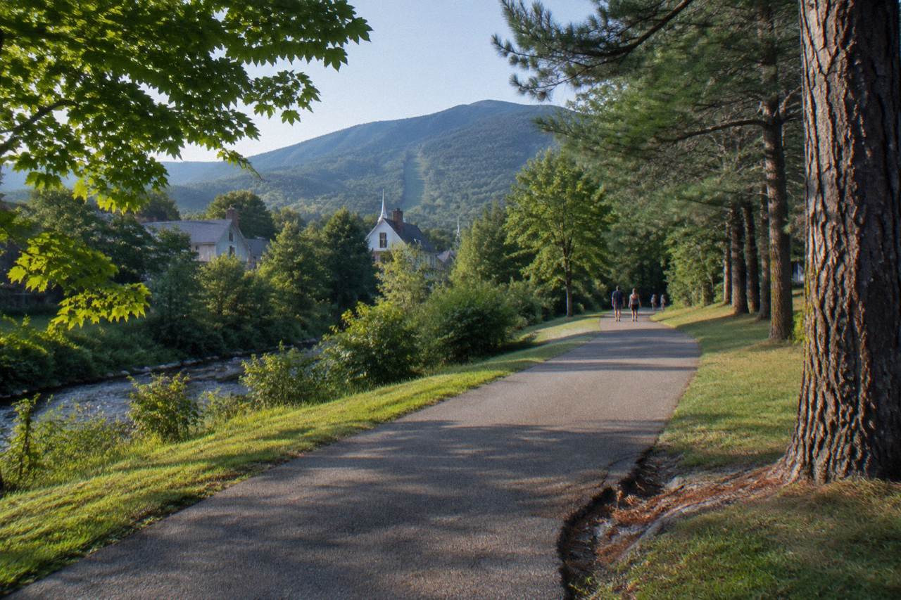 A paved bike path curving through green trees with a mountain rising in the background