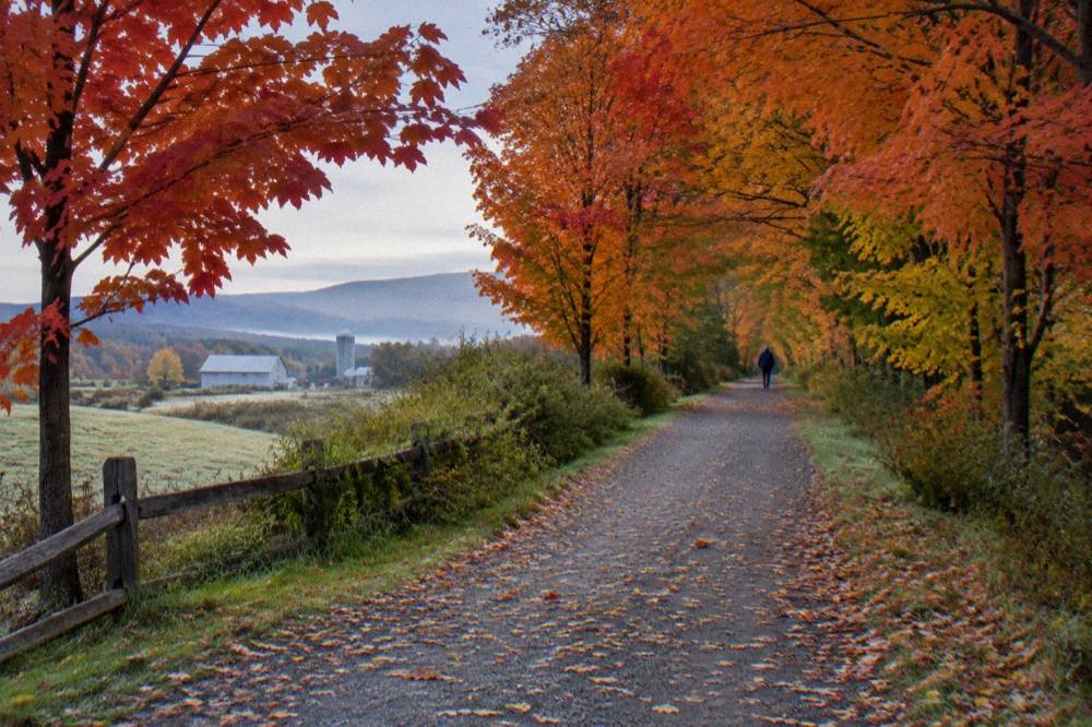 A tree-lined bike path in bright fall color on a calm morning