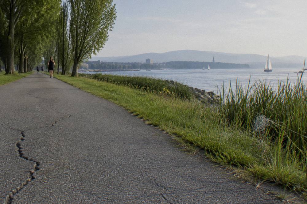 A wide paved bike path running along a lakeshore with grass and trees on one side