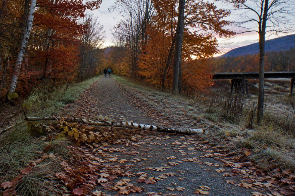 A bike trail winding through a forest of orange and red autumn trees