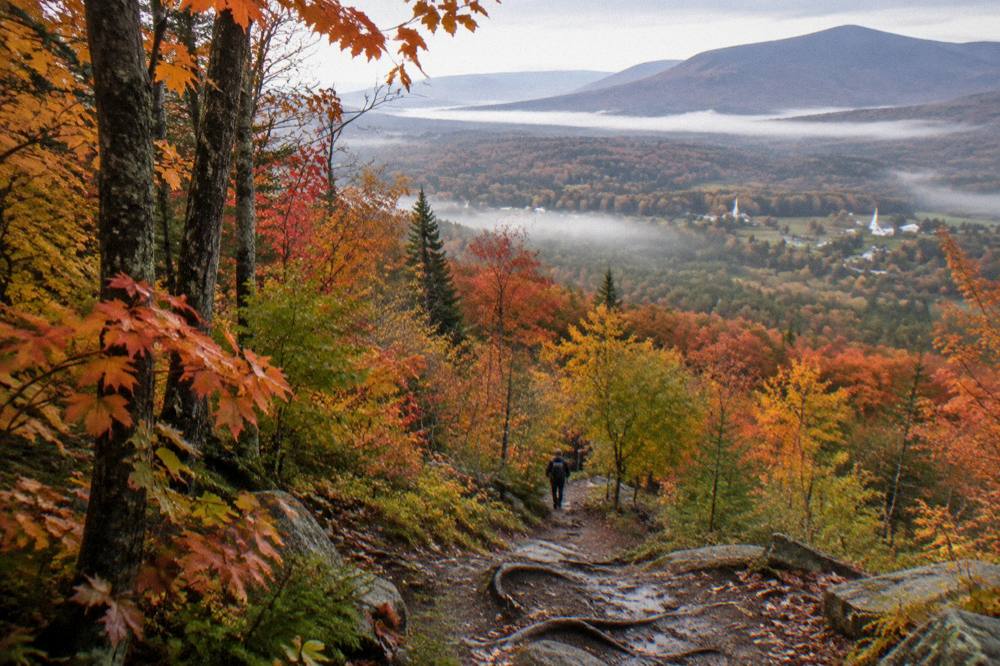 A bike trail winding through dense orange and red autumn forest