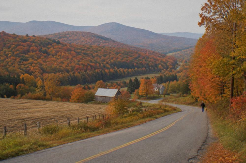 A country road curving through hills covered in orange and red autumn forest